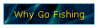 Why Go Fishing