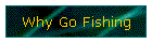 Why Go Fishing