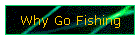 Why Go Fishing